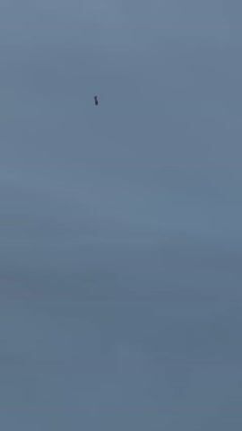 A small, red and white airplane is visible against a cloudy, gray sky. The airplane appears to be in flight. The footage is grainy and the airplane is distant, making it difficult to discern specific details.
