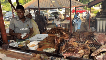 Nigerian livestock market and meat vendors documented in operation