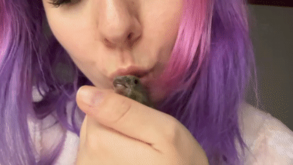 Zagreb Woman Tends Bird While Creating Content in Bedroom Studio