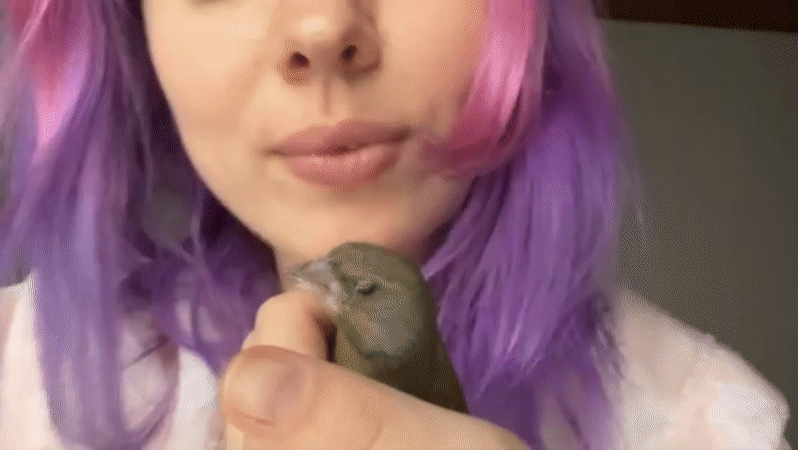 Zagreb Woman Tends Bird While Creating Content in Bedroom Studio