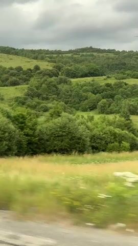 A very blurry, low-resolution video taken from a moving vehicle shows a green, rolling landscape with trees and hills. The sky is cloudy. The motion blur makes it impossible to discern any specific details of the environment or any individuals or objects present.