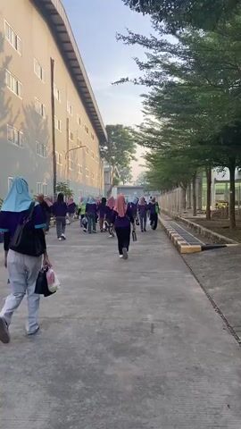 A group of approximately 20 people, mostly women wearing purple shirts and headscarves, are walking away from the camera down a paved pathway. The pathway is bordered on the left by a large, multi-story building with numerous windows and on the right by a line of trees and a fence. The people are walking in the same direction, and some are carrying bags or water bottles. The sun appears to be low in the sky, casting long shadows from the building. The overall impression is of a group of workers leaving a facility.