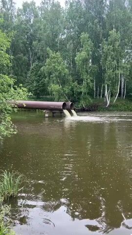 Two large industrial pipes extend from the left side of the frame, supported by metal posts. The pipes are positioned over a body of water and are discharging a murky, yellow-white liquid into it. The surrounding environment is lush and green, with dense trees forming a backdrop. The water surface is choppy, with visible ripples and small white bubbles. The sky appears overcast.