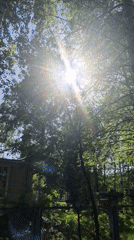 Woman enjoys sunny afternoon in Chaikovsky garden