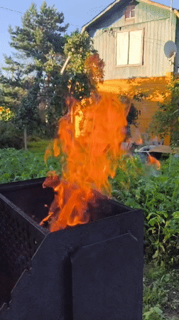 Backyard cookout and balloon release on a summer afternoon