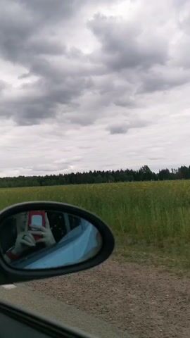 The video shows a rural landscape from the perspective of a vehicle, likely stationary or moving slowly on a dirt road. In the foreground, the car's side mirror reflects a person holding a red smartphone, with a ring visible on their finger. The person appears to be capturing the reflection or simply holding their phone.

Beyond the car, a wide green field stretches into the distance, bordered by a dense line of trees. The sky above is overcast with grey clouds, suggesting a cloudy day. The overall setting is natural and open, characteristic of a countryside environment. No visible text is present in the video. The location is identified as Beržiniai, Lithuania.