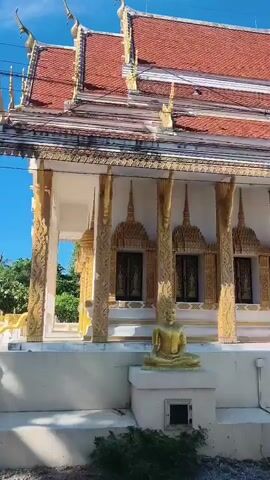 A video captures the exterior of a temple-like structure with ornate golden pillars and a red tiled roof. A seated golden Buddha statue is visible on a raised platform, accompanied by offerings. In front of the statue, a small dog rests near a lower step. The background shows lush green trees and a clear blue sky, suggesting a tropical or subtropical environment. The camera pans slightly, focusing on the architectural details and the serene presence of the Buddha and the resting dog.