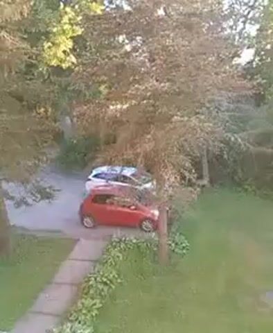 The video shows a short outdoor scene. In the foreground, there is a concrete pathway leading through a grassy yard. Adjacent to the pathway, there are some plants with large green leaves. Further back, on a paved surface, two cars are parked. The car in the foreground is a small red hatchback, and behind it is a white sedan. Beyond the cars, there is a dense area of trees and foliage, some of which appear dry and brown. The background features a house with a dark roof partially obscured by trees, and the sun is shining brightly, creating lens flare and overexposing parts of the image. The overall impression is of a residential backyard in daylight.