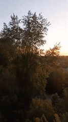Witness documents sunset sequence over landscape in three recordings