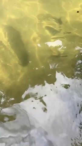 The camera points down at water, light golden and opaque, that reflects the sky. Bubbles float on the surface. Ripples of white foam appear in the lower right corner. A few floating objects and streaks of dark material appear on the water’s surface. No people, objects, or interactions are easily identifiable.