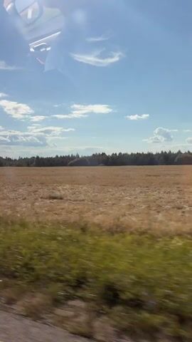 The video shows a view from inside a vehicle, looking out at a rural landscape on a sunny day. The sky is blue with scattered white clouds. In the foreground, there is a blurred strip of green grass and vegetation, indicating movement. Beyond the grass is a large, dry, golden-brown field, likely a harvested crop. In the distance, a dense line of trees forms a dark green border against the horizon. Reflections of the vehicle's interior, including a headrest and possibly a steering wheel, are visible in the upper part of the frame. The overall impression is of a scenic drive through the countryside.