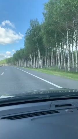 The video is a first-person perspective shot from inside a car driving on a highway. The highway has multiple lanes, and a white line marks the edge of the current lane. On the right side of the highway, there is a dense forest of birch trees with white bark and green leaves. The sky is blue with scattered white clouds. The dashboard of the car is visible in the foreground. The video is short and shows the car moving forward along the road.