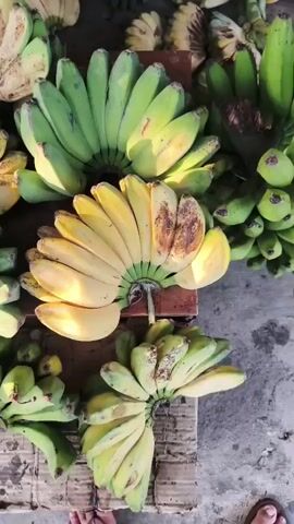 The video shows a top-down view of a pile of bananas for sale. In the foreground, a hand is holding a bunch of bananas that are mostly yellow with some brown spots. Behind these bananas, there are larger bunches of green bananas. The bananas are laid out on a surface that appears to be a market stall, with some wooden planks visible. The ground beneath the stall is visible in the lower part of the frame and appears to be concrete or asphalt. The lighting suggests it is daytime, possibly outdoors. The overall scene depicts a fruit vendor's display.