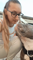 Bully breed chills outside garage doors at golden hour