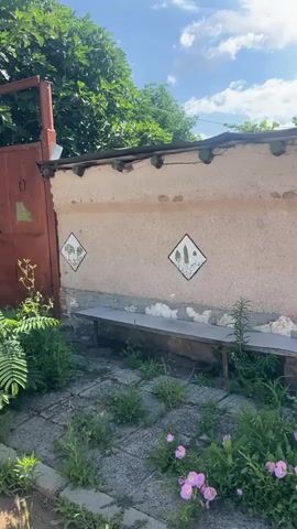 The video shows a weathered, light-colored wall with a green-tiled roofline, adorned with what appear to be two diamond-shaped decorative tiles. Each tile features a simple depiction of nature, one with trees and the other with plants. Below the wall is a long, weathered bench, and in front of the bench, wild greenery and pink flowers are growing amongst cracked paving stones. To the left of the scene, a rusted metal gate is visible. The wall itself shows signs of age, with cracks and peeling plaster, revealing the rough stone and concrete underneath. A chimney pipe rises above the wall on the right. Lush green trees overhang the wall from above. The sky is blue with scattered clouds, suggesting a pleasant, sunny day. The overall impression is one of a slightly neglected, rustic outdoor space, possibly a yard or garden area. No people are visible. The time of day appears to be daytime, given the lighting and shadows. The location context is Zelenikovo, Bulgaria. No visible text is present in the video.