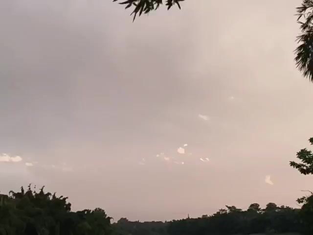 A wide shot shows a river winding through a lush, green landscape under a hazy sky. The camera is positioned low, looking up towards the sky and out over the water. Trees line both banks of the river, with taller bamboo-like plants on the left and denser foliage on the right. The water is calm and reflects the muted colors of the sky. A small, dark structure, possibly a boat or shack, is visible on the right bank near the water's edge. The overall atmosphere is serene and natural, suggesting an early morning or late afternoon setting. There are no people visible in the video.
