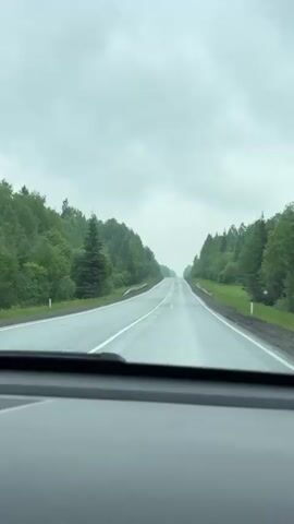 The video shows a view from inside a moving car, looking out through the windshield onto an empty road. The asphalt road stretches ahead, appearing slightly wet, possibly from recent rain, under a cloudy sky. Green, dense forest lines both sides of the road, and metal guardrails are visible along the shoulders. The road is marked with a broken white line down the center, indicating two lanes, one in each direction. The bottom of the car's dashboard is visible in the foreground. The scene depicts a drive through a forested area, likely near Anninsk, Russia. No specific activities or people are visible other than the implied act of driving.