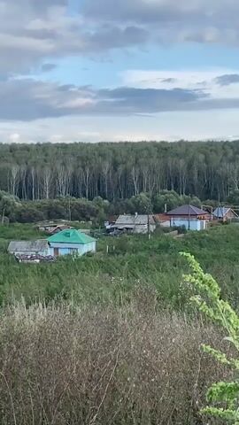 The video captures an outdoor panoramic view of a rural landscape. In the foreground, tall, dry grass and a few green leafy plants are visible, some swaying gently. Beyond this, a cluster of houses with various colored roofs, predominantly red and blue, are nestled amidst lush green foliage and trees. A dense forest of birch trees with white trunks forms a backdrop, stretching across the horizon. The sky above is partly cloudy with shades of blue and gray. The lighting suggests it is either early morning or late afternoon. No people or animals are present in the frame. The scene conveys a sense of quiet, natural serenity.