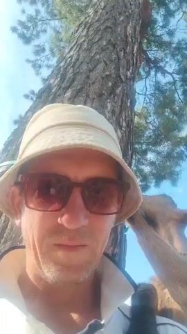 This media file is a close-up, selfie-style video featuring a man wearing a light-colored bucket hat and sunglasses. He is outdoors, standing next to a large tree with rough bark. A young goat is visible in the frame, with one of its legs resting on the man's shoulder and its head near the tree trunk. The goat appears to be interacting with something green tied to the tree. The background shows sunlight filtering through branches and the blue sky, suggesting a clear, sunny day, likely during daylight hours. The man's expression is neutral as he looks towards the camera. There is no visible text in the media file. The location context provided is Sokolovo, Russia.