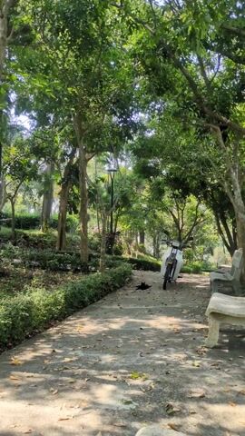The camera approaches a black cat reclining on a leaf-strewn cement pathway in a park-like setting, near a white moped. Lush greenery and trees surround the pathway. The camera continues to move towards the cat.