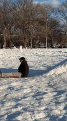 Person slides down snowy hill in Washington Square Park