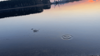 Casual waterfront moments captured across Chaikovsky, Russia during sunset hour