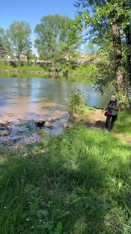 A video shows a woman on a dirt path near the edge of a riverbank with a small dog wading in the water. The woman is wearing a light-colored hat, green shirt, black pants, and a dark backpack with a red carrier on top. She is holding the dog's leash. The dog is black and white. The river has some exposed rocks near the bank, where the dog is wading.  The scene is on a sunny day with green grass and trees visible. The water appears to be flowing gently. The woman is looking at the dog and appears to be giving it commands.