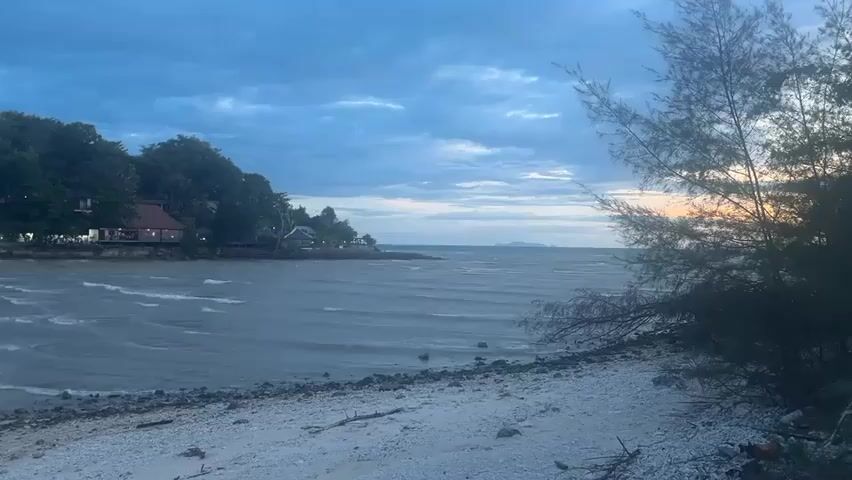 The video shows a coastal scene at what appears to be dusk or dawn. The sky is a mix of blue and grey clouds, with a hint of orange light on the horizon. The water is choppy and reflects the subdued colors of the sky. A pebbly and sandy beach stretches across the foreground, with some debris visible. To the left, there is a land mass covered with trees and buildings, including a structure with lit windows. A pine tree occupies the right side of the frame, obscuring some of the view. The overall atmosphere is calm and slightly melancholic.