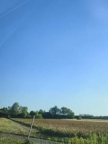 The video captures a daytime scene of a rural landscape under a clear blue sky. The camera appears to be mounted inside a moving vehicle, as evidenced by the slight motion blur and the presence of a reflective surface, likely a car window, in the foreground.

In the mid-ground, there is a field of dry, yellow grass. Beyond the field, a line of trees forms a distant border. To the left of the trees, a cluster of more vibrant green trees is visible. A brown agricultural field, possibly with crops, is situated behind the grass field and to the right of the green trees.

A blue road sign with white lettering is prominently displayed on the left side of the frame, partially obscuring the view of the field and trees. The sign appears to have text and an arrow pointing to the right. Two vertical poles, likely supporting a fence or sign, are visible in the foreground, one on the left and one on the right. A dark, paved surface, resembling a road or path, runs along the bottom edge of the frame. The overall impression is one of a journey through the countryside on a sunny day.
