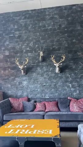 A static interior shot shows a living room with a dark gray tufted sectional sofa adorned with four patterned throw pillows in shades of burgundy and pink. In front of the sofa sits a low coffee table with a distressed yellow top featuring black lettering that reads "ESPRIT LOFT." Behind the sofa, a dark gray textured stone wall serves as a backdrop for three mounted deer head trophies. The deer heads are arranged in a horizontal line, with the middle one slightly higher than the two outer ones. The lighting is natural and appears to be coming from the right side of the frame, casting soft shadows. No people or actions are visible in the video.