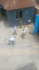 Students play during school break in Ikorodu schoolyard