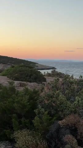 A vertical video shows a coastal landscape at sunset. The sky is a gradient of pale yellow at the top fading into pink and orange near the horizon. In the distance, mountains are visible across the sea. The foreground is dominated by rugged terrain covered in dense, green shrubbery and trees. The sea is calm with gentle waves lapping against the shore. The overall impression is one of a serene and natural environment.