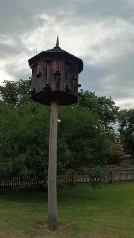 The video shows a wooden pigeon house on a pole. The pigeon house is dark brown and has many openings for pigeons. The pole is tall and made of wood. The pigeon house is in a grassy area with trees and a wooden fence in the background. The sky is cloudy. The video is shot vertically.