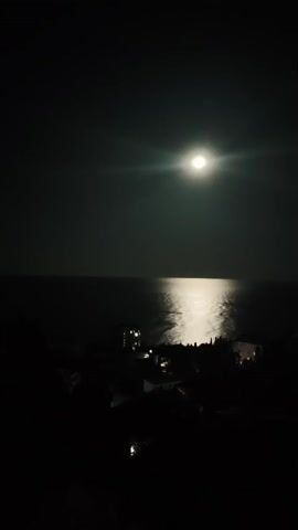 This is a static, wide shot taken at night. The scene depicts a body of water, likely the sea, illuminated by a bright full moon. The moon is centered in the upper portion of the frame, casting a reflective path across the water. In the lower portion of the frame, a dark, silhouetted landscape is visible, featuring the outlines of buildings and trees. Some lights from the buildings suggest a settlement or town. The overall atmosphere is dark and serene, dominated by the moonlight and the vastness of the sea.
