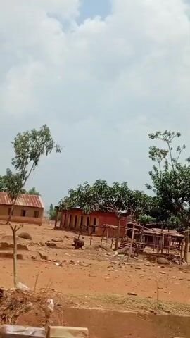 The video, likely filmed from a moving vehicle, captures a dry, open landscape in what appears to be a rural or semi-rural area. The scene is dominated by reddish-brown, sandy earth, with patches of dry grass and scattered large, smooth, round boulders. Several rudimentary wooden structures, resembling market stalls or shelters, are visible across the midground. These structures consist primarily of wooden frames, some with partial roofing.

On the left, a leafy green tree stands beside a small cluster of buildings. As the camera pans right, a large tree with sparse, hanging foliage becomes prominent, its trunk rooted among more of the boulders. Further to the right, another set of wooden structures is seen. Briefly, at approximately 0:03, a person wearing a red shirt is seen walking near these structures, their back to the camera. The sky is overcast or hazy, suggesting a hot, possibly dry, daytime environment. A concrete curb and asphalt road are visible in the immediate foreground. A white signboard appears briefly at the beginning of the video on the right, but no text is discernible. The overall impression is one of a quiet, somewhat barren, outdoor setting.
