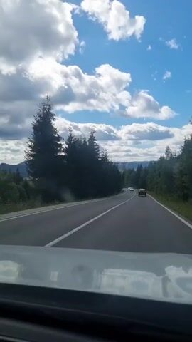 The video shows a view from inside a car driving on a winding road through a forest. The road has two lanes and a white dashed line marking the center. Several other cars are visible on the road ahead and coming from the opposite direction. The sky is blue with fluffy white clouds, and tall evergreen trees line both sides of the road. Sunlight is filtering through the trees, creating patches of light and shadow. The overall impression is that of a scenic drive on a clear day.