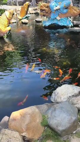 The video shows a pond with koi fish swimming in it. On the edge of the pond are several statues. To the left is a large golden fish statue. To the right of the golden fish is another statue, this one of a woman in blue robes sitting on what appears to be a dragon. Behind the statues is a rocky, cave-like structure with trees and foliage surrounding it. The sky is visible and appears to be blue with some clouds. The water in the pond is dark and reflects the surroundings.