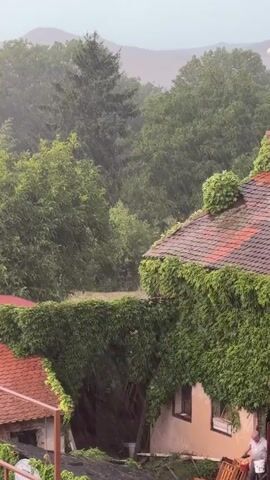 The video shows a heavy rain falling on a cluster of buildings covered in lush green ivy. In the foreground, two red-tiled roofs are visible, one of which has a bright red awning. The buildings are nestled amongst dense green trees, with rolling hills in the background. The rain is so heavy that it creates a hazy effect, obscuring the distant landscape. In the lower right corner of the frame, an elderly man is seated outdoors, seemingly oblivious to the downpour, as he works on a white object.