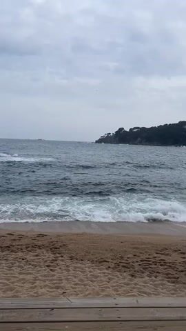 The video captures a static, serene wide shot of a beach and the sea under an overcast sky. In the foreground, a sandy beach extends across the frame, marked by gentle, foamy waves breaking and receding. The sand shows subtle patterns and footprints. A wooden structure, possibly a boardwalk or deck, frames the very bottom of the shot.

Beyond the shoreline, the dark blue-green waters of the sea stretch towards the horizon. In the mid-distance on the right, a tree-covered headland or small peninsula juts out into the water, providing a distinct land feature. The sky is largely covered by clouds, creating a soft, diffused light over the scene. No people or animals are visible.

The primary activity is the continuous motion of the waves gently crashing onto the shore. The audio features the prominent and soothing sound of these waves. The overall impression is one of calm and natural beauty on a quiet, cloudy day. The coastal landscape, with its sandy beach, sea, and tree-lined headland, is characteristic of a Mediterranean setting like Calella De Palafrugell, Spain. There is no visible text within the frame.