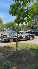 Vintage Cadillacs gather at Chicago lakefront park Friday evening