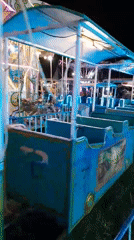 Carnival night: rides, neon lights, and a fish game