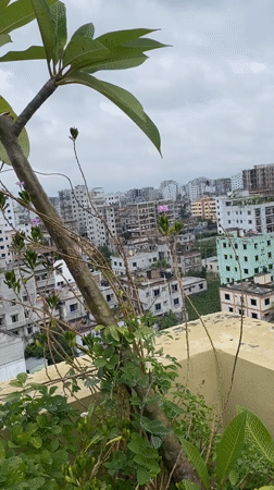Dhaka, Bangladesh