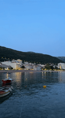 Evening harbor stroll with dogs captured in Kaluđerac, Montenegro
