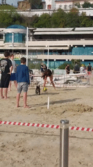 Spring afternoon leisure scenes captured across Sochi, Russia