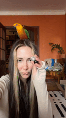 Everyday home life in Khimki, parrot and all