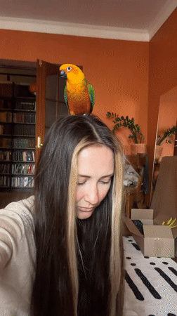 Everyday home life in Khimki, parrot and all