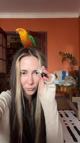 Everyday home life in Khimki, parrot and all