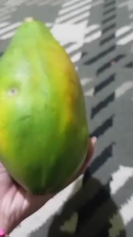 A hand holding a green papaya is shown in this video. The papaya is oval-shaped and has a light green skin with some yellowing near the top. The hand is holding the papaya from the side. The background is a patterned rug with black and white stripes. The video is shot from a close-up perspective, focusing on the papaya and the hand.