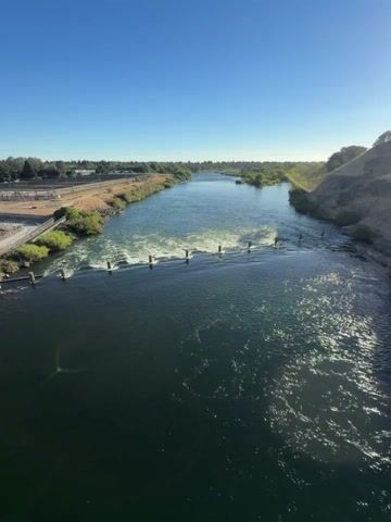 A wide shot of a river shows the sun shining under a clear blue sky. The river is calm and dark on the right side of the frame, while on the left, it becomes choppy with white foam and turbulence. A line of short, dark posts emerges from the water, marking a transition zone between the calm and turbulent water. Beyond this area, the river flows onward, bordered by green trees and vegetation on both banks. A dirt path runs along the left bank, with some buildings and infrastructure visible in the distance. The sun casts a slight glare on the water in the lower left corner.