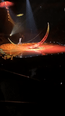 Cirque du Soleil aerial performance captured by audiences in Belgrade